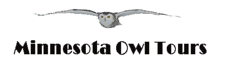 MN Owl Tours